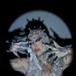 BIERA Headdress (RENTAL)